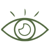 Vision Green Vision Green